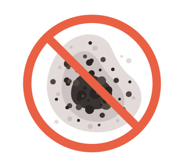 Best Black Mold Removal  in Liberty, TX